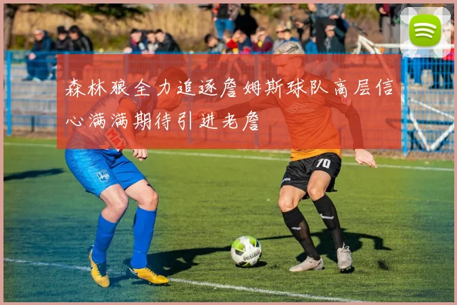 森林狼全力追逐詹姆斯球队高层信心满满期待引进老詹