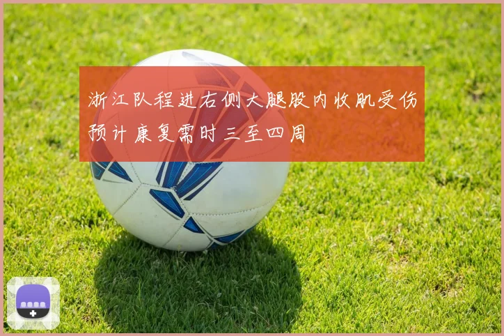 浙江队程进右侧大腿股内收肌受伤预计康复需时三至四周