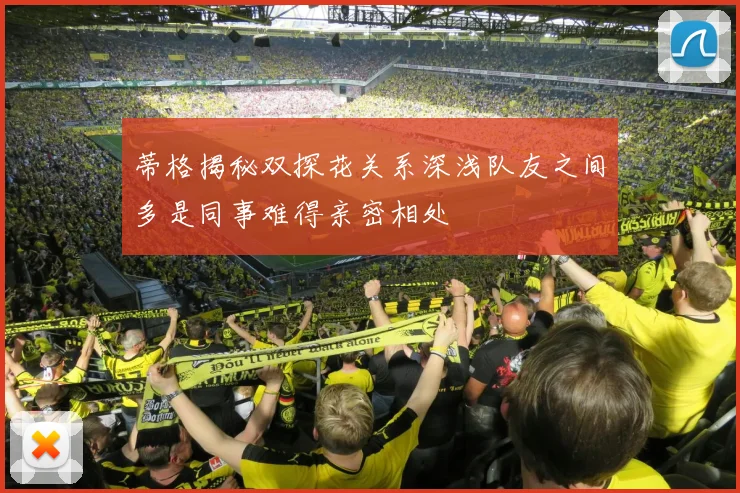 蒂格揭秘双探花关系深浅队友之间多是同事难得亲密相处