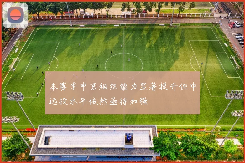 本赛季申京组织能力显著提升但中远投水平依然亟待加强